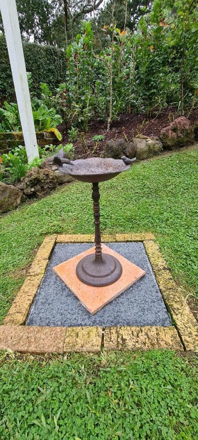 Bed and Breakfast Dovecote House Auckland Exterior foto