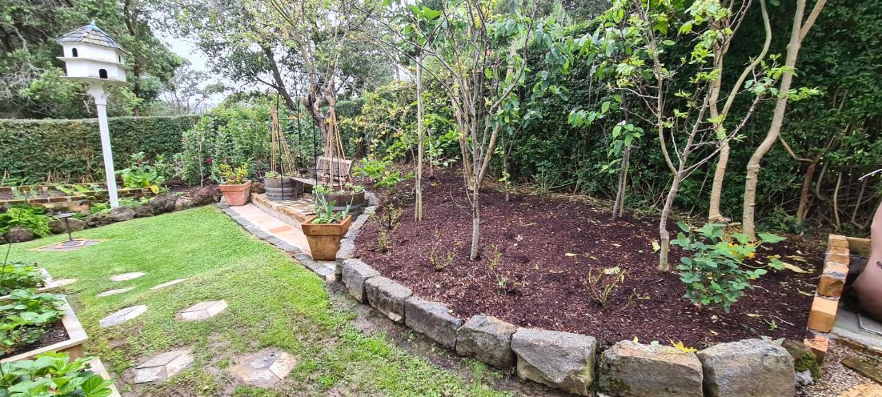 Bed and Breakfast Dovecote House Auckland Exterior foto